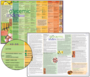 The Glycemic Index Chart